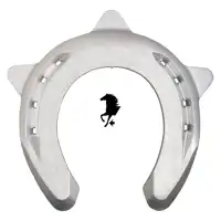 ACR 325 Torsion antérieur 0