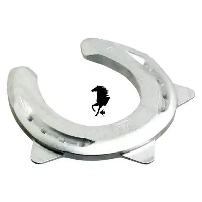 ACR 325 Torsion antérieur 0_3