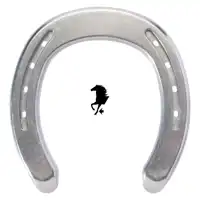 FWAS 3-degree Alu front 1