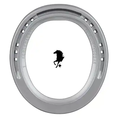 Alu Triumph Eggbar Quarter vorne 1 SK_1