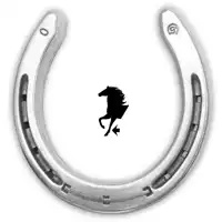 FWA 3-degree Alu front 1