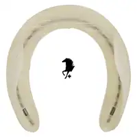 Easyshoe Compete V2 