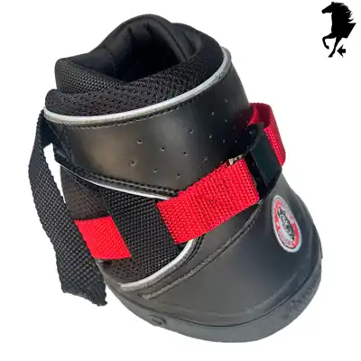 Ultra Jogging Shoe 12_2