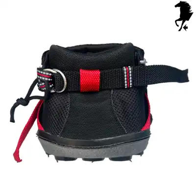 Ultra Jogging Shoe 12_3