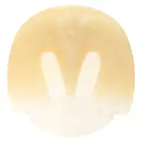 Health Pad wedge PP S 2 degree