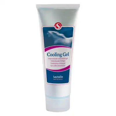 Kühlgel 250ml Sectolin_1