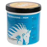 PH Glucosamine+MSM 500g