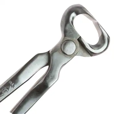 Nipper GE USA 12"_1