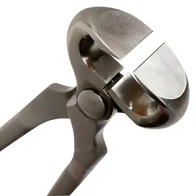 Nipper Jim Blurton 12"_2