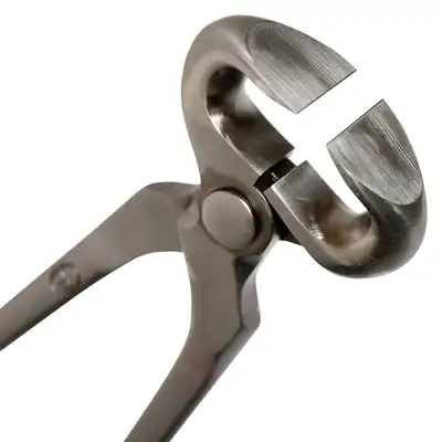 Nipper Jim Blurton 14"_2