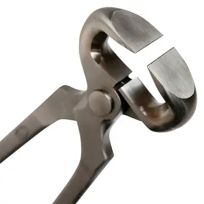 Nipper Jim Blurton 15"_2