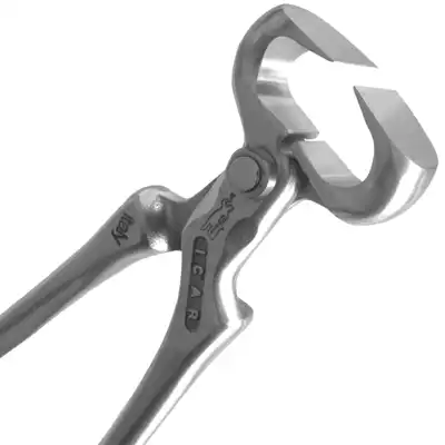 Nipper ICAR 12"_2