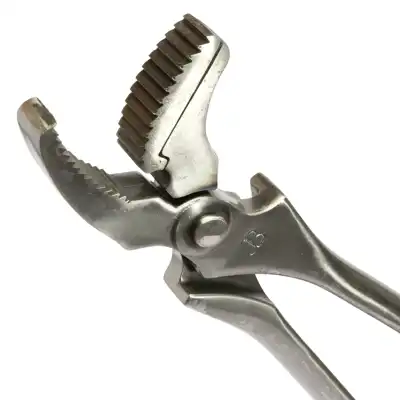 Clincher Jim Blurton curved jaw_2