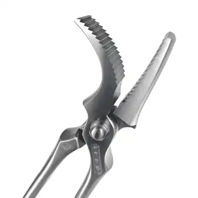 Clincher ICAR Dragon 2.0 Draft Horses 14"_2