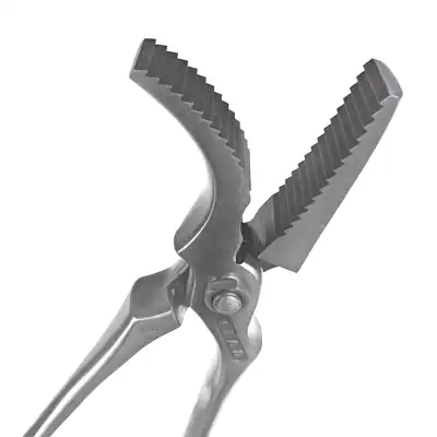 Nietzange ICAR Dragon 2.0 Quarter Horses 14"_2