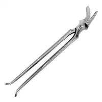 Nietzange ICAR Dragon 2.0 Race Horses 14"