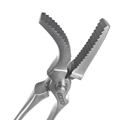 Nietzange ICAR Dragon 2.0 Race Horses 14"_2