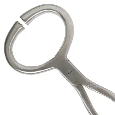 Searcher AE asymmetrical_2