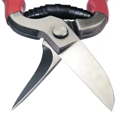 Leather-scissors Icar_5