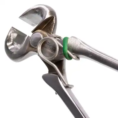 Ressort pince à parer_2