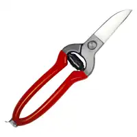 Leather-scissors Icar