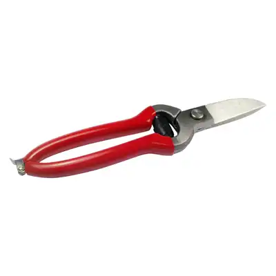 Leather-scissors Icar_2