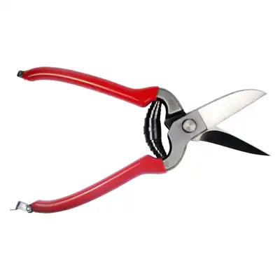 Leather-scissors Icar_3