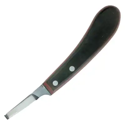 Hoof knife Dick Champion 2461-5 R_1