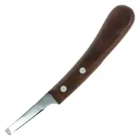 Hoof knife Dick Ascot 2491 narrow R
