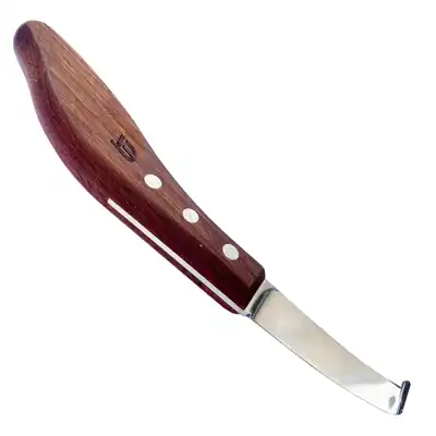 Hufmesser Lennox breit gerade L_2