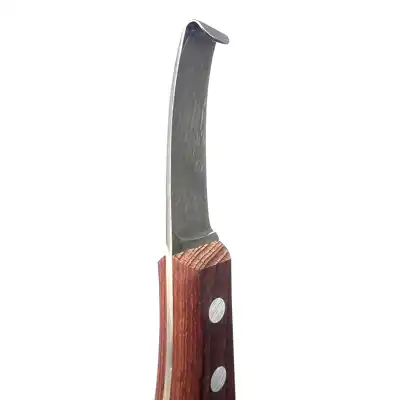 Hufmesser Lennox breit gerade L_3