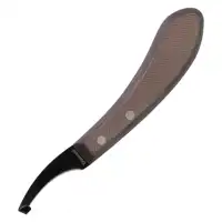 Renette Diamond courbée D