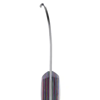Hufmesser Eagle gerade R_5