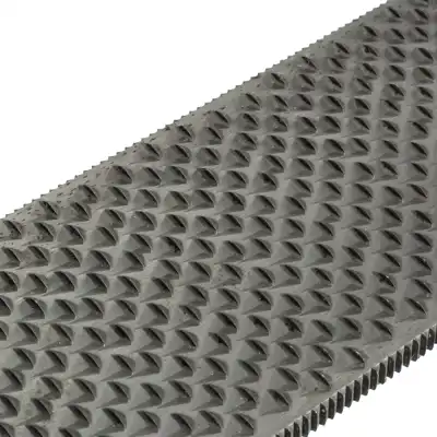 Rasp Bassoli Doppia_5