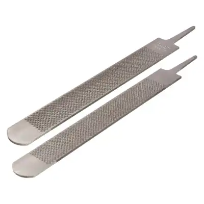 Rasp Bassoli Doppia+_3