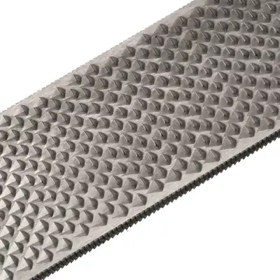 Rasp Bassoli Doppia+_4