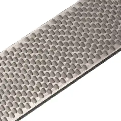 Rasp Bassoli Doppia+_5