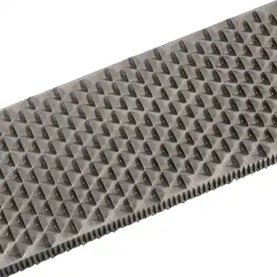 Rasp Top Level_5