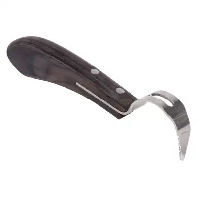 Hoof pick Diamond_2