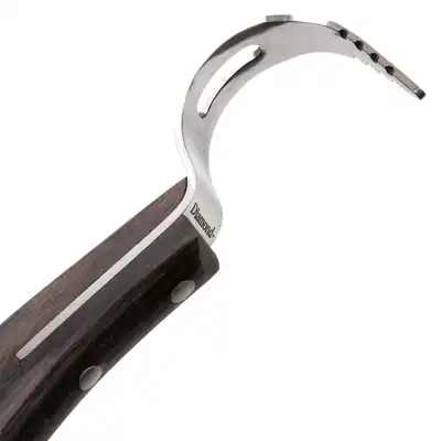 Hoof pick Diamond_4