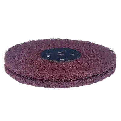 Disque nett - grossier_2