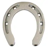 Gift horseshoe chrome plated
