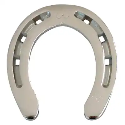 Gift horseshoe chrome plated_1