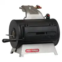 Gasofen Pro-Forge 200 2-Brenner