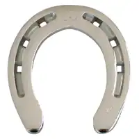 Gift horseshoe chrome plated