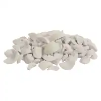 Ceramics-Chips gas forge