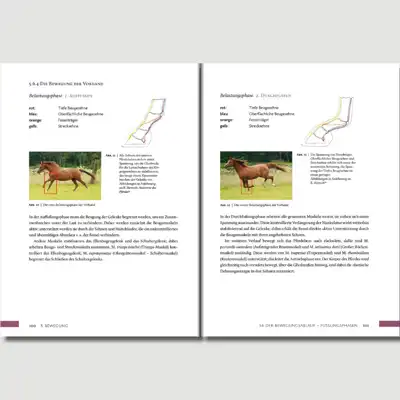 Book 'Hufwerk' by Kati Jurth_3