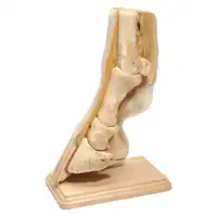3-D Plain/Magnetic with stand