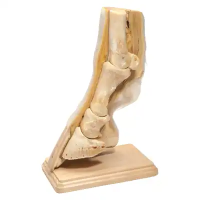 3-D Plain/Magnetic with stand_1
