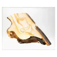 Scheibenplastinate Hufrolle